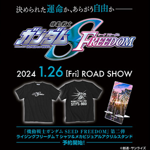 STRICT-G「『機動戦士ガンダムSEED FREEDOM』ライジングフリーダム柄T