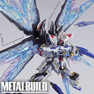 METAL BUILD ストライクフリーダムガンダム 光の翼オプションセット