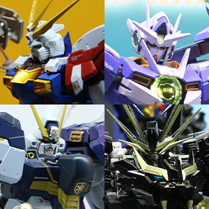 METAL BUILD クロスボーン・ガンダムX1 ハーフクロス