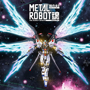METAL ROBOT魂 ストライクフリーダムガンダム［Re:Coordinate