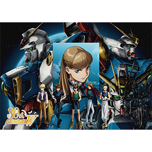 新機動戦記ガンダムW』ヒイロ・ユイ役の緑川 光サイン入り「30