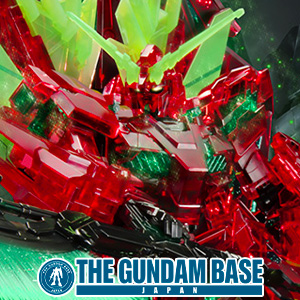 HG ユニコーンガンダム ペルフェクティビリティ（デストロイ