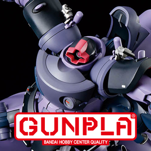 HG リック・ドム ガイア機／オルテガ機（GQ）」「ガンダム