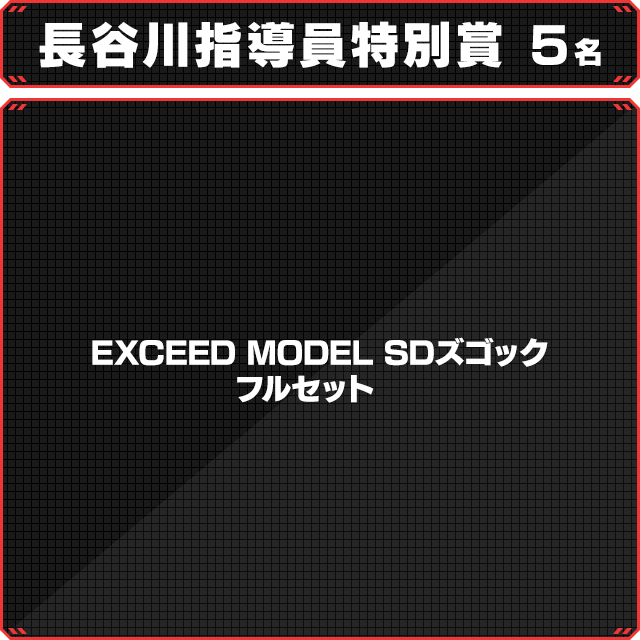 長谷川指導員特別賞 5名