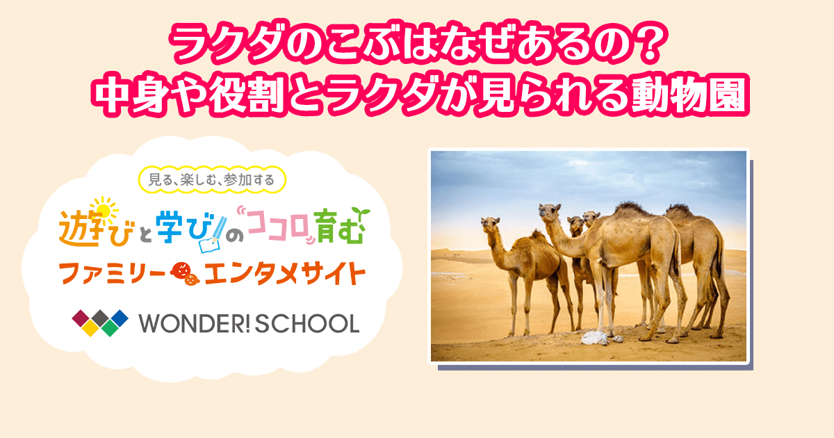 ラクダ学名 – ラクダ すごい , 石の俗称 ラクダと石 – QOPCOL