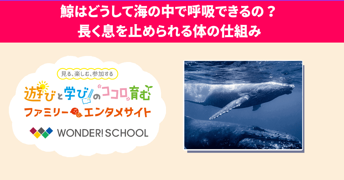 知恵の鯨」 心許ない