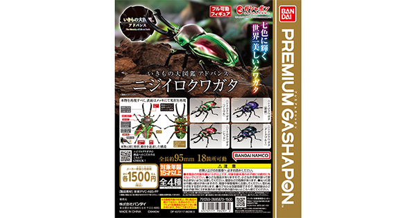 BANDAI - ガチャ　いきもの大図鑑アドバンス　ニジイロクワガタ　全4種コンプリートセット ガチャガチャレビュー】いきもの大図鑑アドバンス ニジイロ