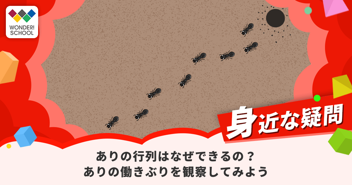 ありの行列はなぜできるの?ありの働きぶりを観察してみよう | バンダイによる、遊びと学びのココロ育むファミリーエンタメサイト