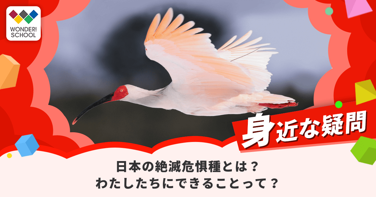 日本の絶滅危惧種とは?代表的な生き物と、わたしたちにできること | バンダイによる、遊びと学びのココロ育むファミリーエンタメサイト