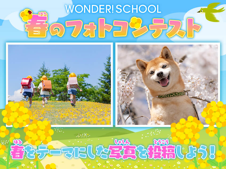  width=960 height=720